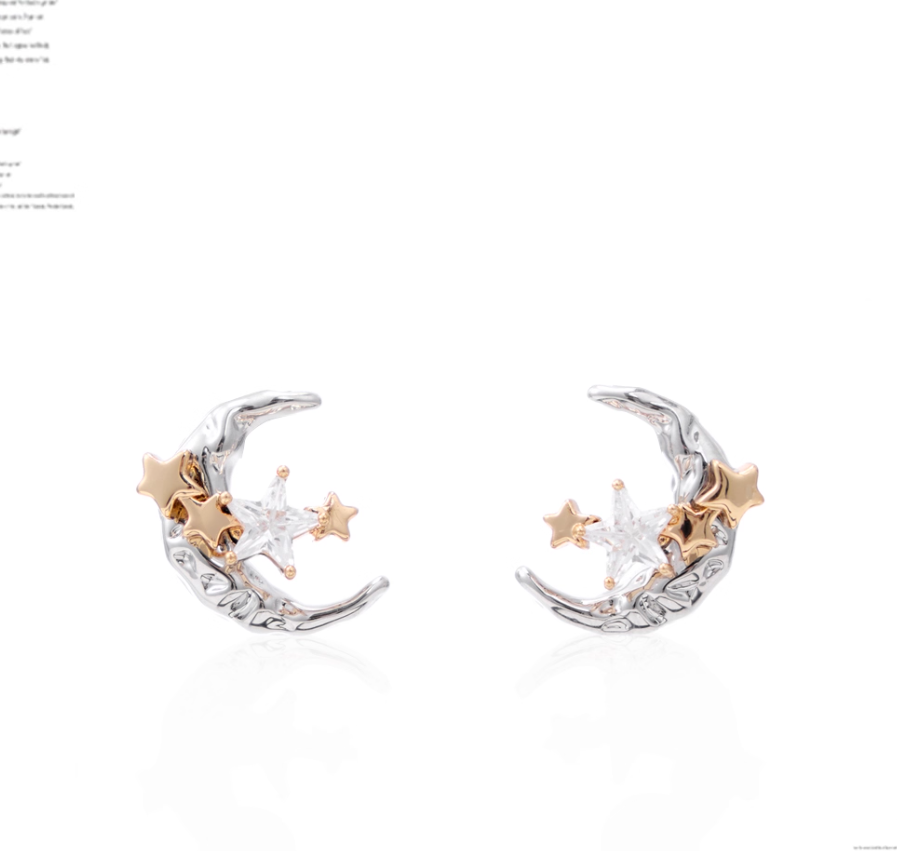 Moon Star Silver Earrings