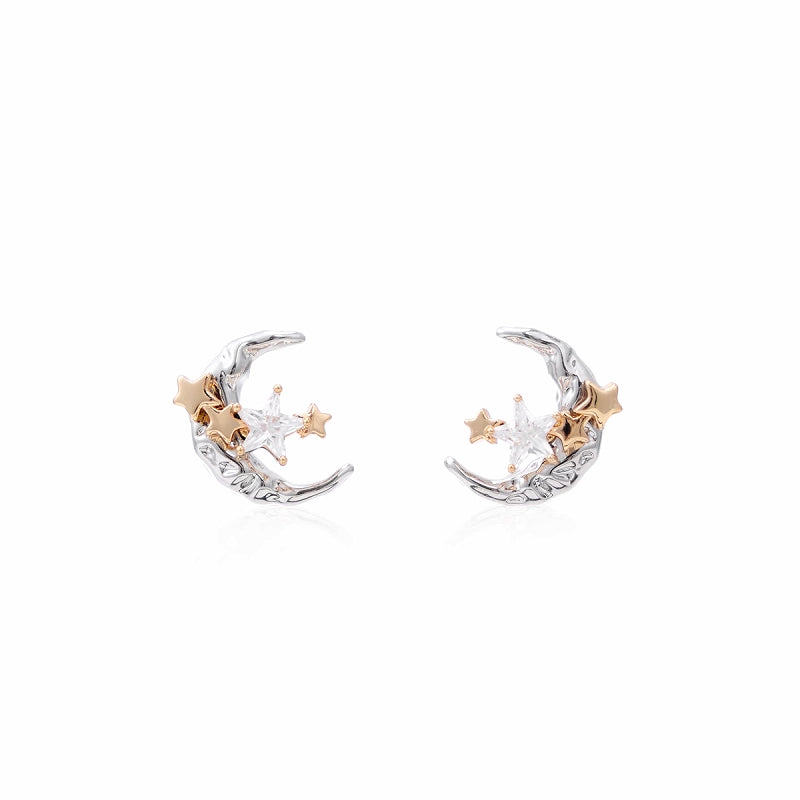 【SUMIYAKI】Star And Moon Earrings pg1683