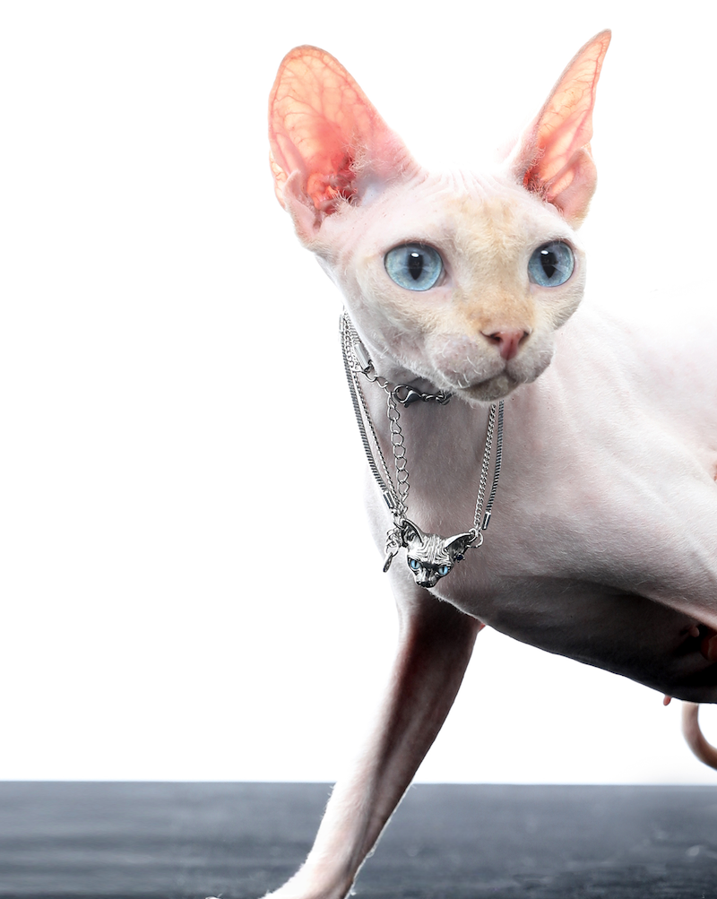 [1ST XULIE]Peek Into The Cat Necklace01 pg1348