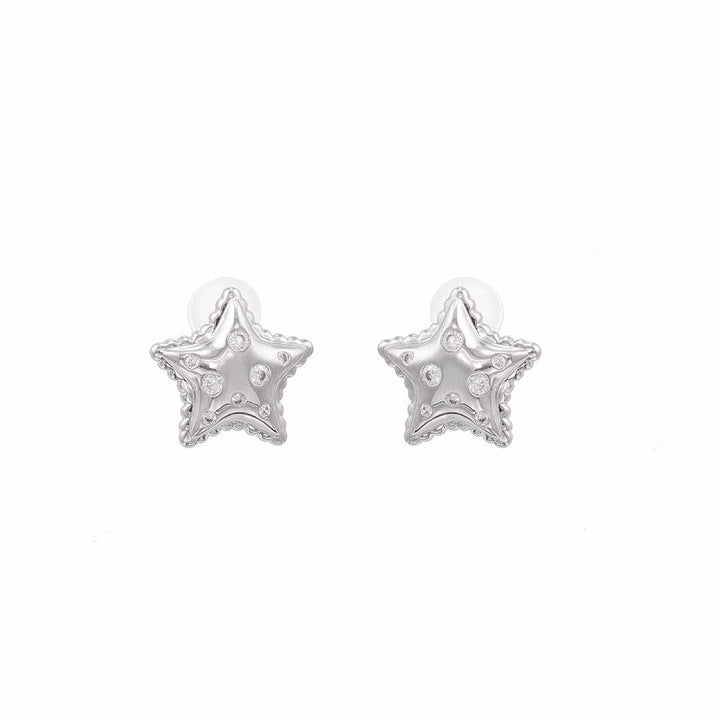 【SUMIYAKI】Three-dimensional Star Earrings pg1901