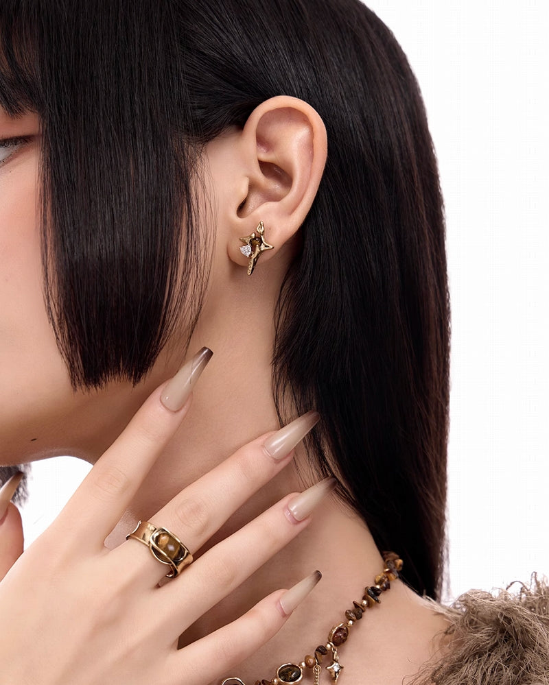 Yadan Tiger Eye Star Earrings 02