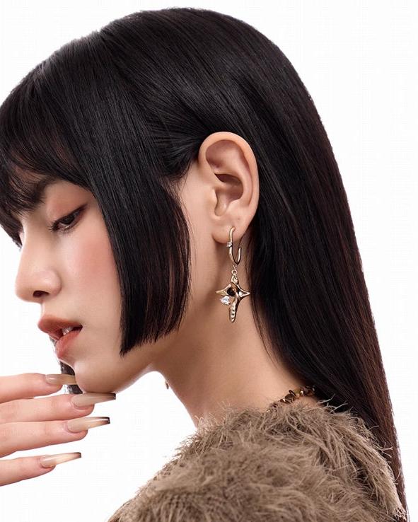 Yadan Tiger Eye Star Earrings 01