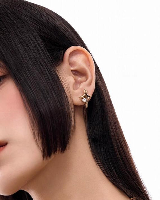 Yadan Tiger Eye Star Earrings 02